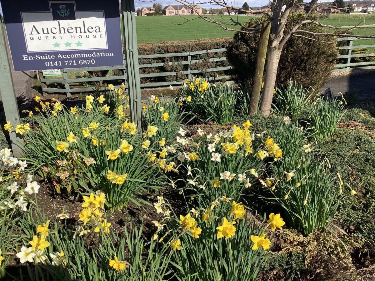 Auchenlea Bed And Breakfast Coatbridge Exterior foto